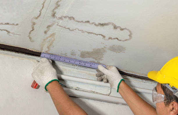 Reliable Water Damage contractor in Versailles, KY by Water Damage Irwin
